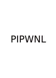 Print In Python Without New Line